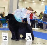 Превью фото № 62361