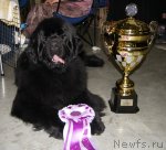 Превью фото № 62478