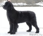 Превью фото № 62606