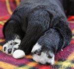 Превью фото № 62752