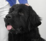 Превью фото № 62777