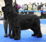 Превью фото № 62844