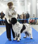 Превью фото № 62849