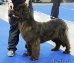 Превью фото № 62851