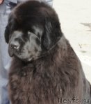 Превью фото № 62863