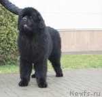 Превью фото № 62883