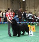 Превью фото № 62895