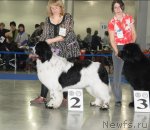 Превью фото № 62907