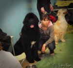 Превью фото № 62931