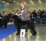 Превью фото № 62947