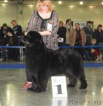 Превью фото № 62954