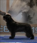 Превью фото № 62958