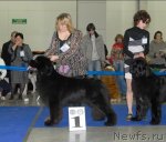 Превью фото № 62965