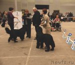 Превью фото № 63045