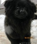 Превью фото № 63122