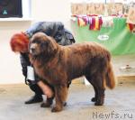 Превью фото № 6313