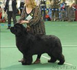 Превью фото № 63139