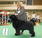 Превью фото № 63142