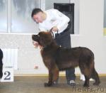 Превью фото № 6330