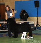 Превью фото № 63363