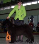 Превью фото № 63416