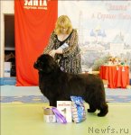 Превью фото № 63454