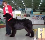 Превью фото № 63484