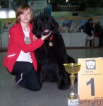 Превью фото № 63486