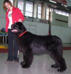 Превью фото № 63487