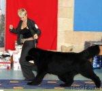 Превью фото № 63538