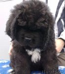 Превью фото № 63572