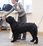 Превью фото № 6360