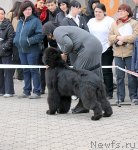 Превью фото № 63613