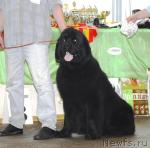 Превью фото № 6362