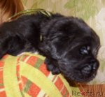 Превью фото № 63651