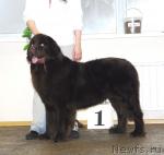 Превью фото № 6367