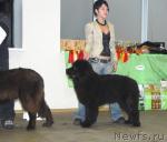 Превью фото № 6379