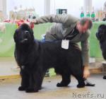 Превью фото № 6386