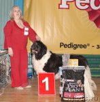 Превью фото № 63969