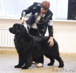 Превью фото № 6397