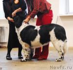 Превью фото № 6400