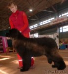 Превью фото № 64006