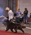 Превью фото № 64162