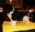 Превью фото № 64211