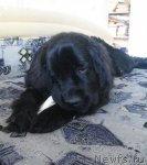 Превью фото № 64218