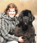 Превью фото № 64353