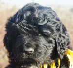 Превью фото № 64381