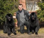 Превью фото № 64516