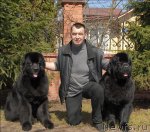 Превью фото № 64517