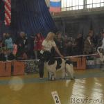 Превью фото № 6463